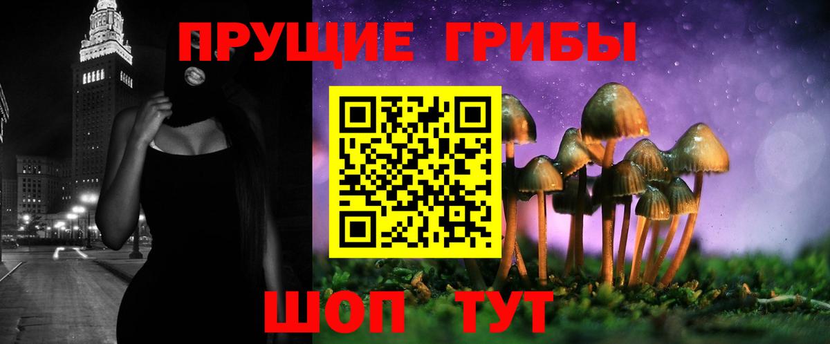 Псилоцибиновые грибы Psilocybe  Галлюциногенные грибы GOLDEN TEACHER  Вход с VPN  Советск 