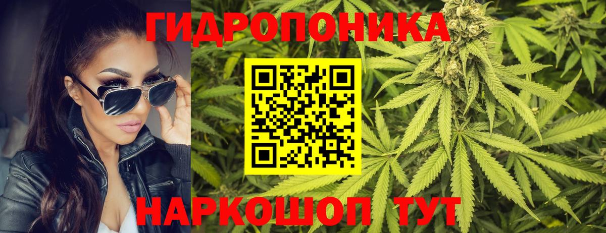 Каннабис White Widow  Вход с VPN  Советск  Канабис AK-47  Каннабис THC 21%  Шишки марихуана LSD WEED 
