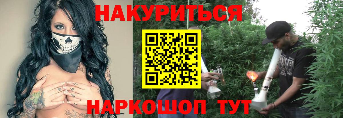 Каннабис конопля Советск